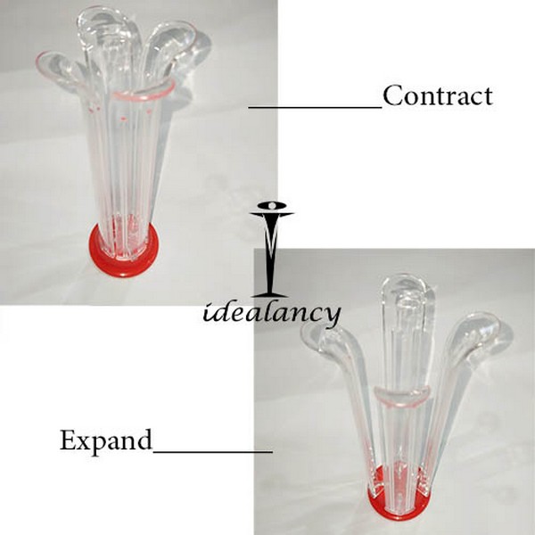 Tomato Holder & Slicer
