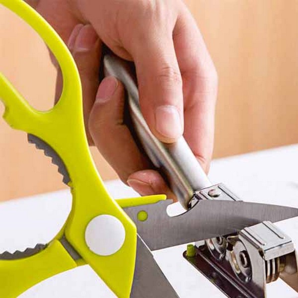 Knife Sharpener Stainless Steel