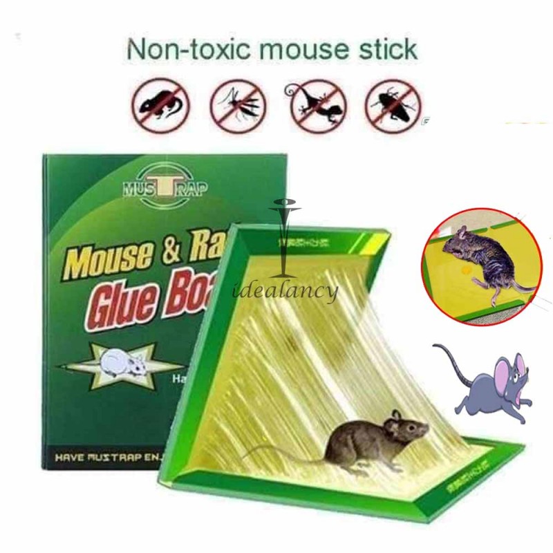 Pack of 3 Mouse Glue Traps Expert Catch