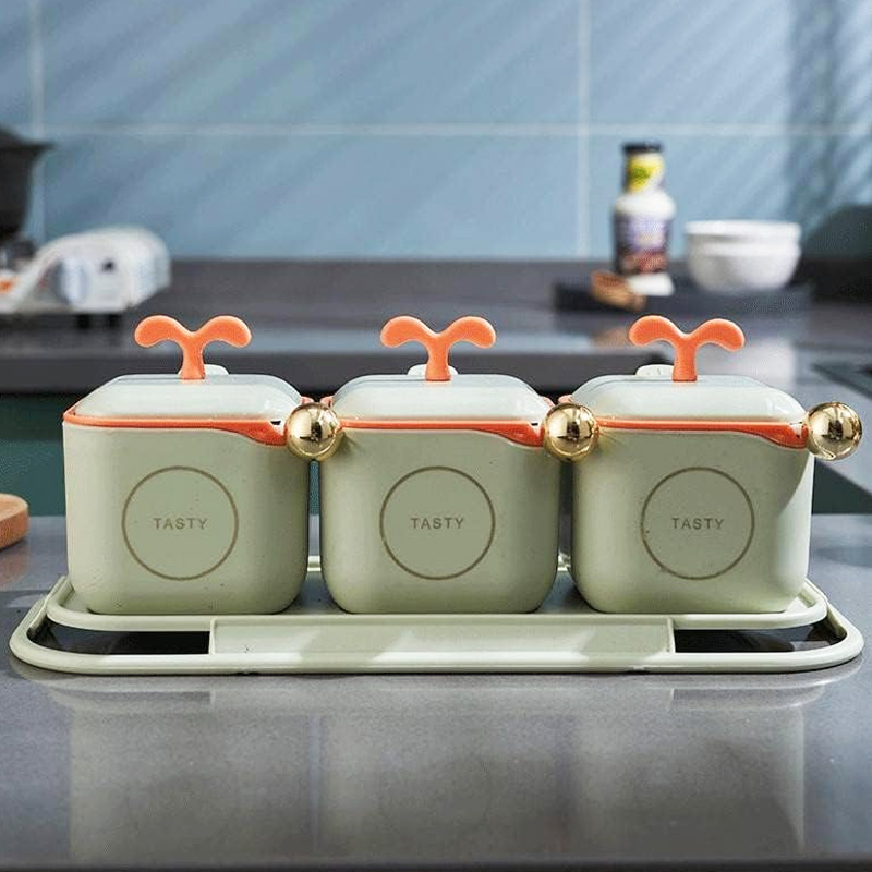 Seasoning Spice Boxes Set With Spoons