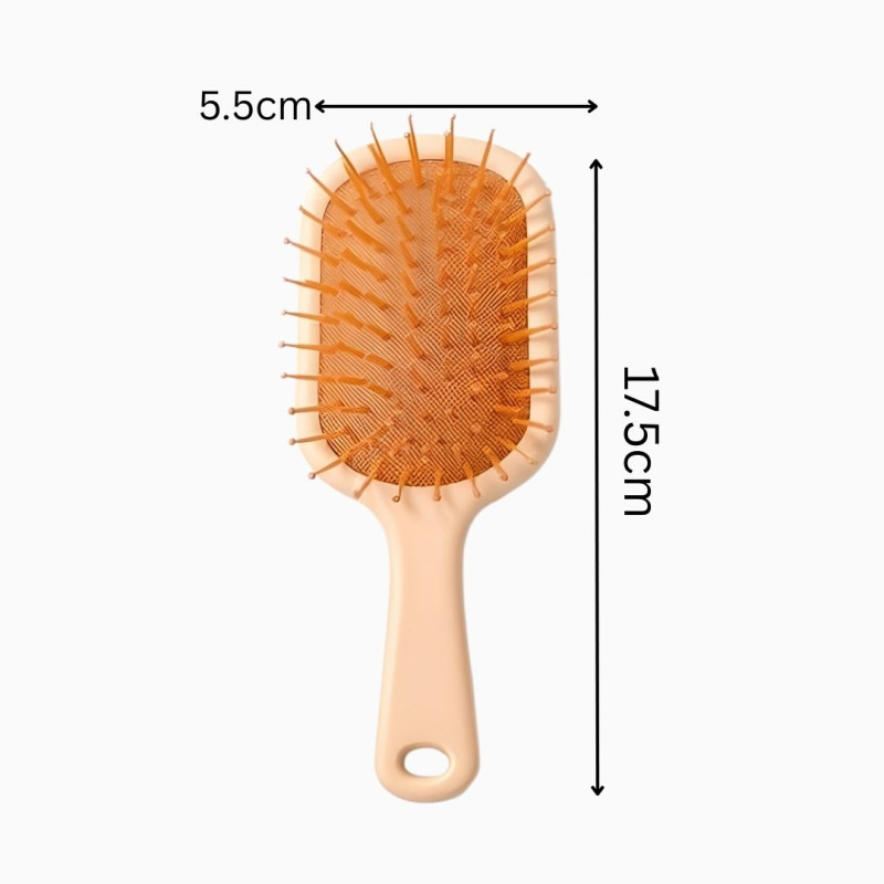 Mini Hair Brush with Built In Mirror Compact Travel Styling Tool