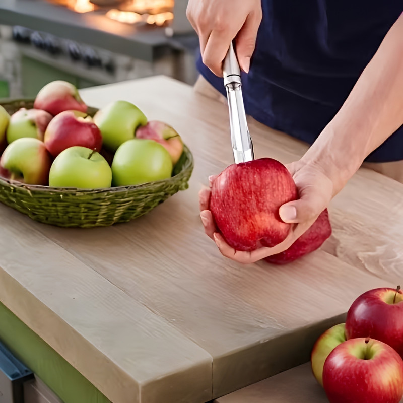 Fruit Corer Remover Stainless Steel Seed Extractor