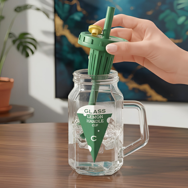 500ml Fruit Infuser Water Bottle With Handle