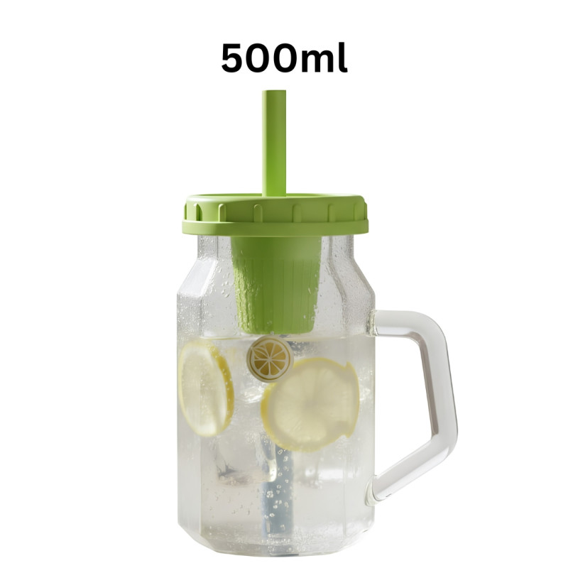 500ml Fruit Infuser Water Bottle With Handle