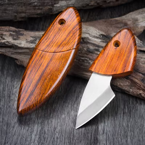 Small Pocket Knife  - Stainless Steel