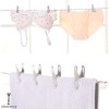 12Pcs Clothes Pegs Stainless Steel