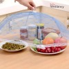 Folding Umbrella Style Food cover