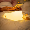 Duck Character Lamp – Decorative Night Light