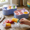 Ice Lolly Mold Reusable Popsicle Maker Set