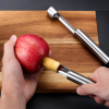 Fruit Corer Remover Stainless Steel Seed Extractor