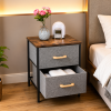 2 Drawer Steel Frame Fabric Storage Organizer