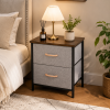 2 Drawer Steel Frame Fabric Storage Organizer