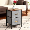 2 Drawer Steel Frame Fabric Storage Organizer