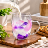 Double Wall Glass Drink Mug with Handle