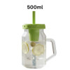500ml Fruit Infuser Water Bottle With Handle