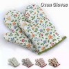 Oven Gloves Pair