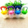 Baby Fruit Pacifier
