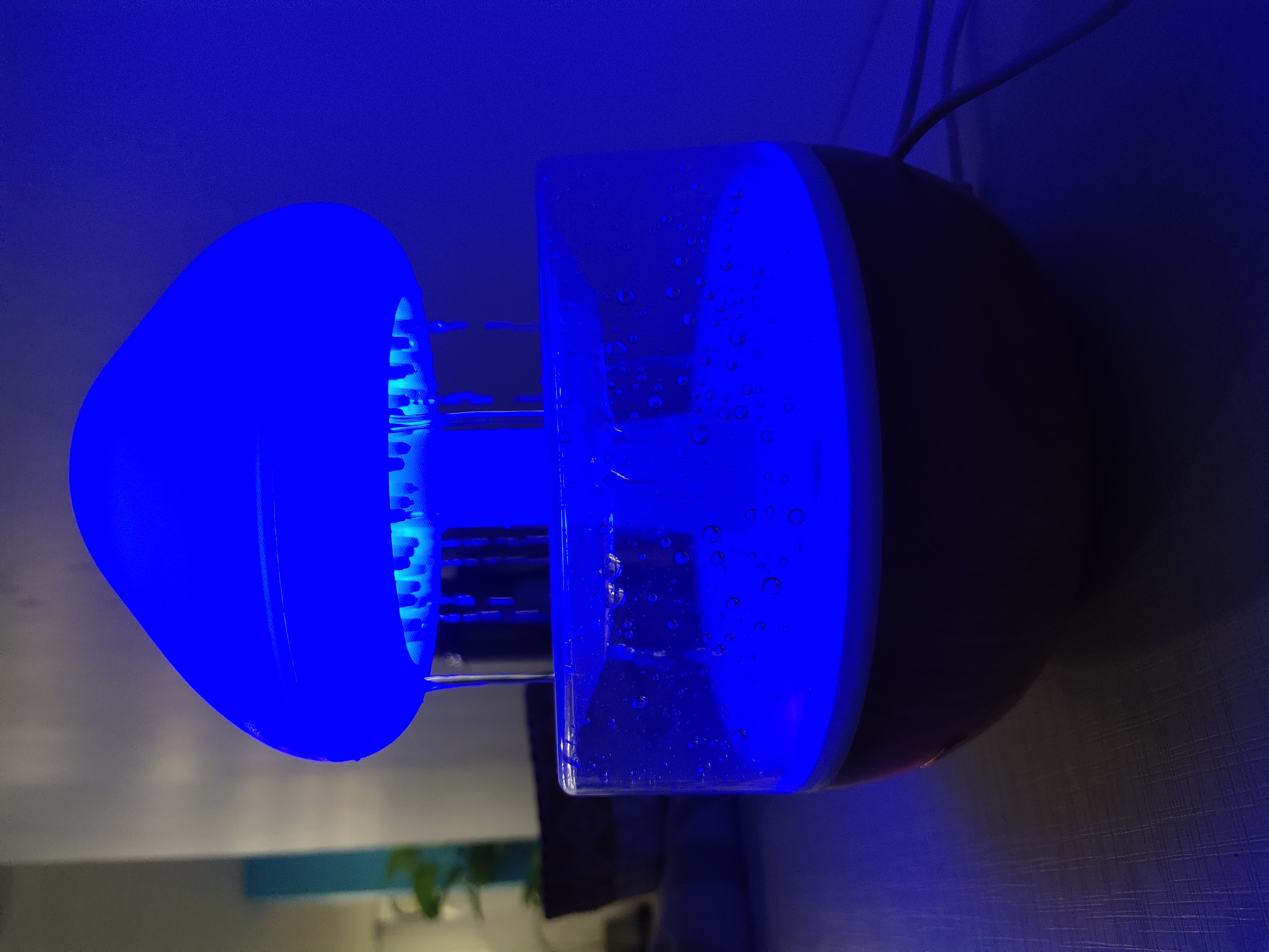 Look absolutely beautiful.I got them for an unbelievable price the quality and finishing is upto the mark would be definitely recommended